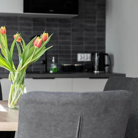 Apartament Przy Koscielnej Poznań